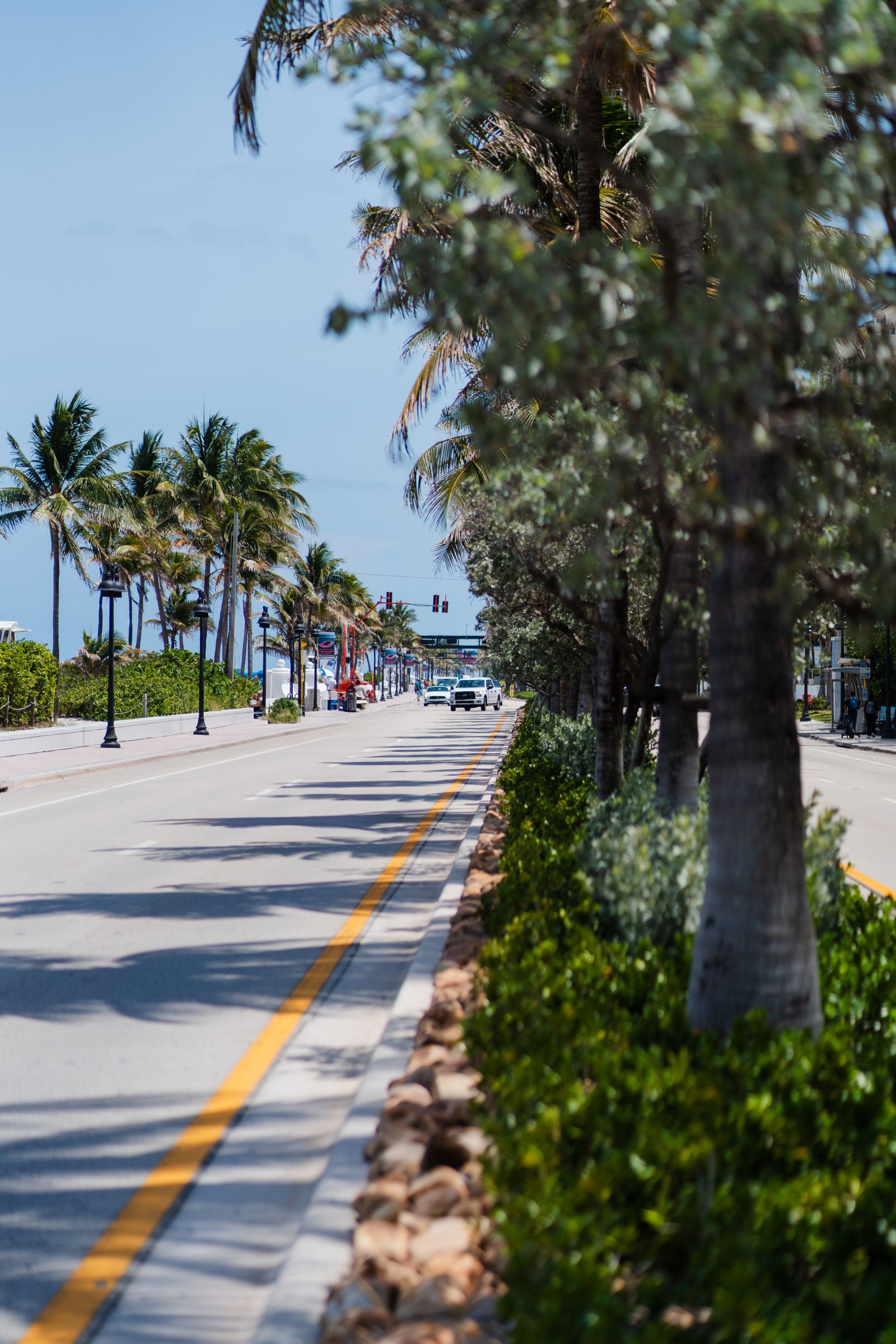 Sunny palm-lined Central Florida road