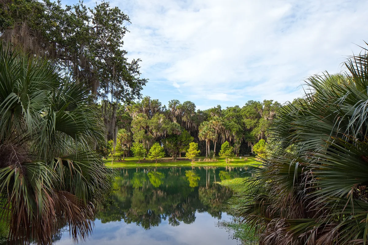 Gemini Springs Park lagoon and palms in DeBary, FL