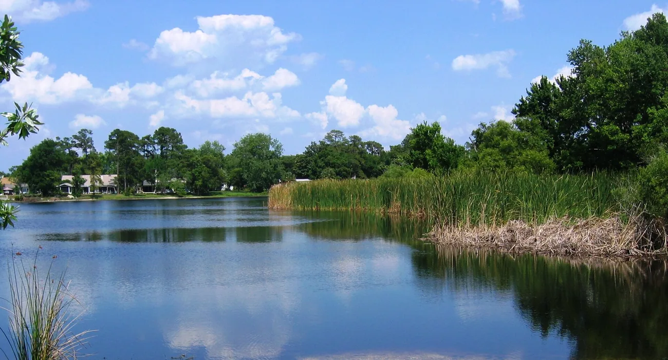 Lake Triplet shoreline with reeds and blue sky in Casselberry, FL