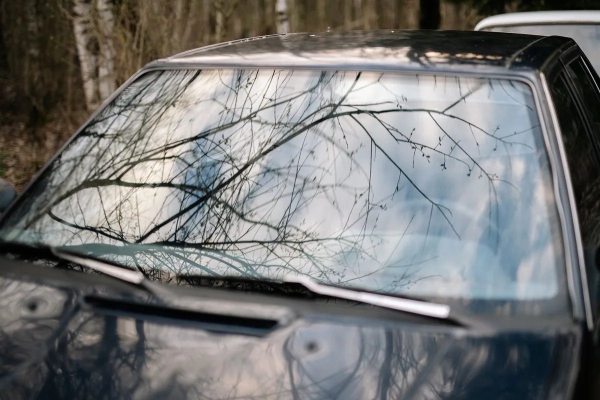 Close-up of a clean car windshield during an auto glass service in Deltona, FL